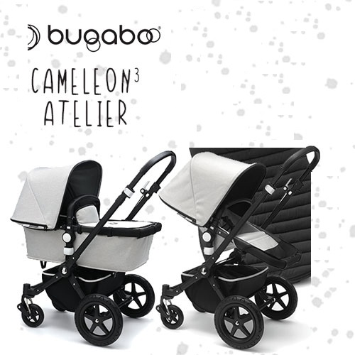 cameleon