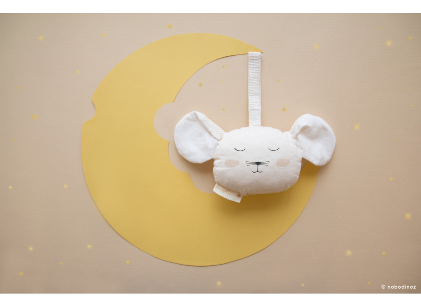 mouse