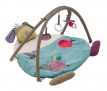 tapis-activit_s-chien-jolis-pas-beaux