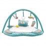 tapis-d-eveil-les-pachats-moulin-roty
